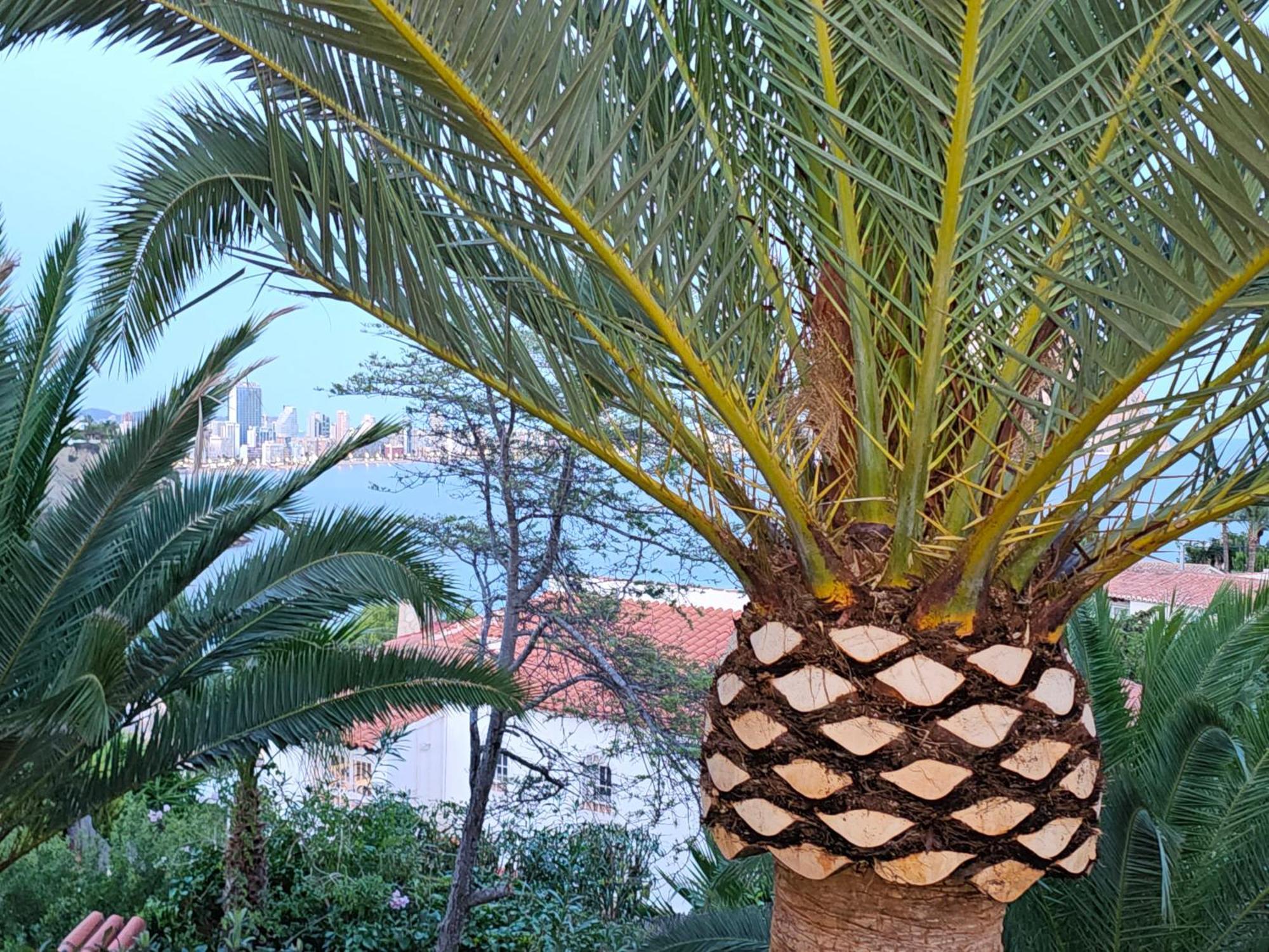 Ferienwohnung Casa Veintiuno En Calp Exterior foto